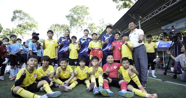 Jin88 cược thể thao