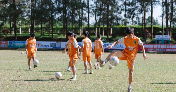 Nhà cái uy tín Việt Nam